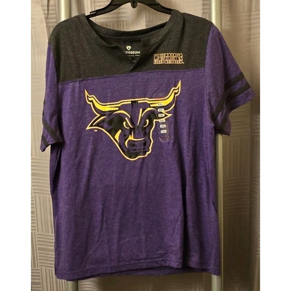 NEW Minnesota State Colosseum Athletics Purple V Neck SS T-Shirt Women's 2XL